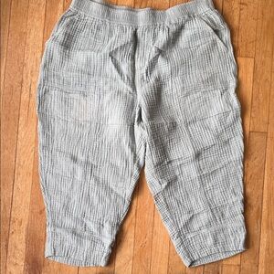 Light blue gauzy Textured Pants